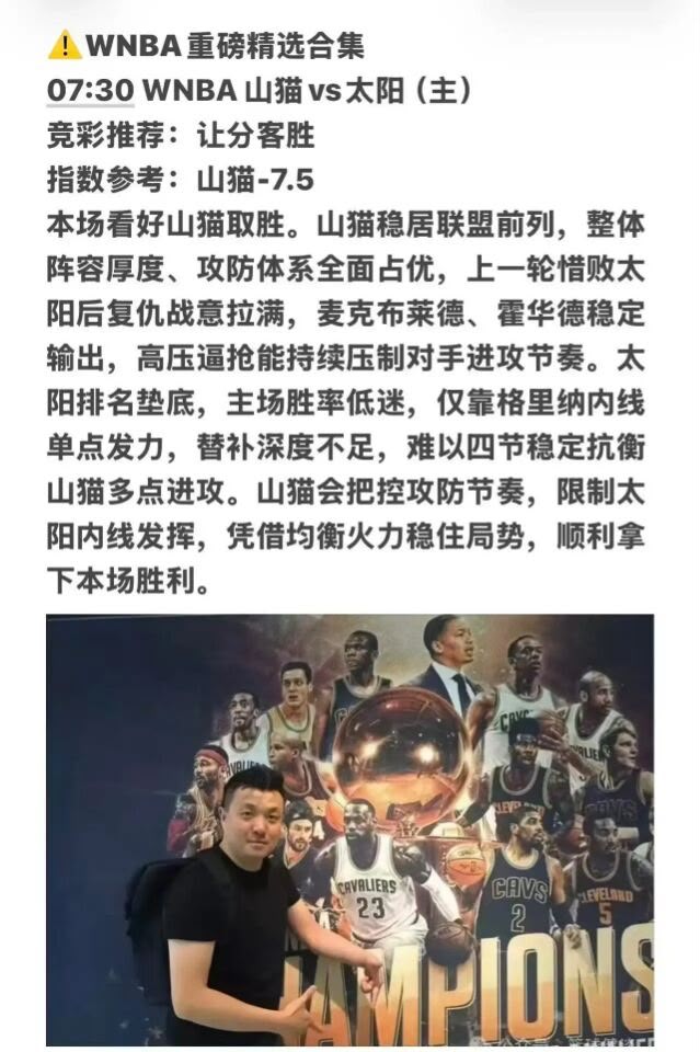 WNBA重磅精选合集 山猫vs太阳