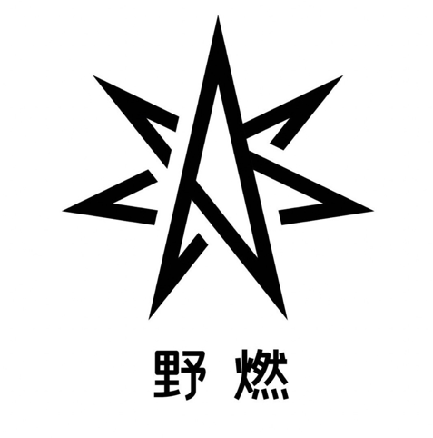 野燃头像